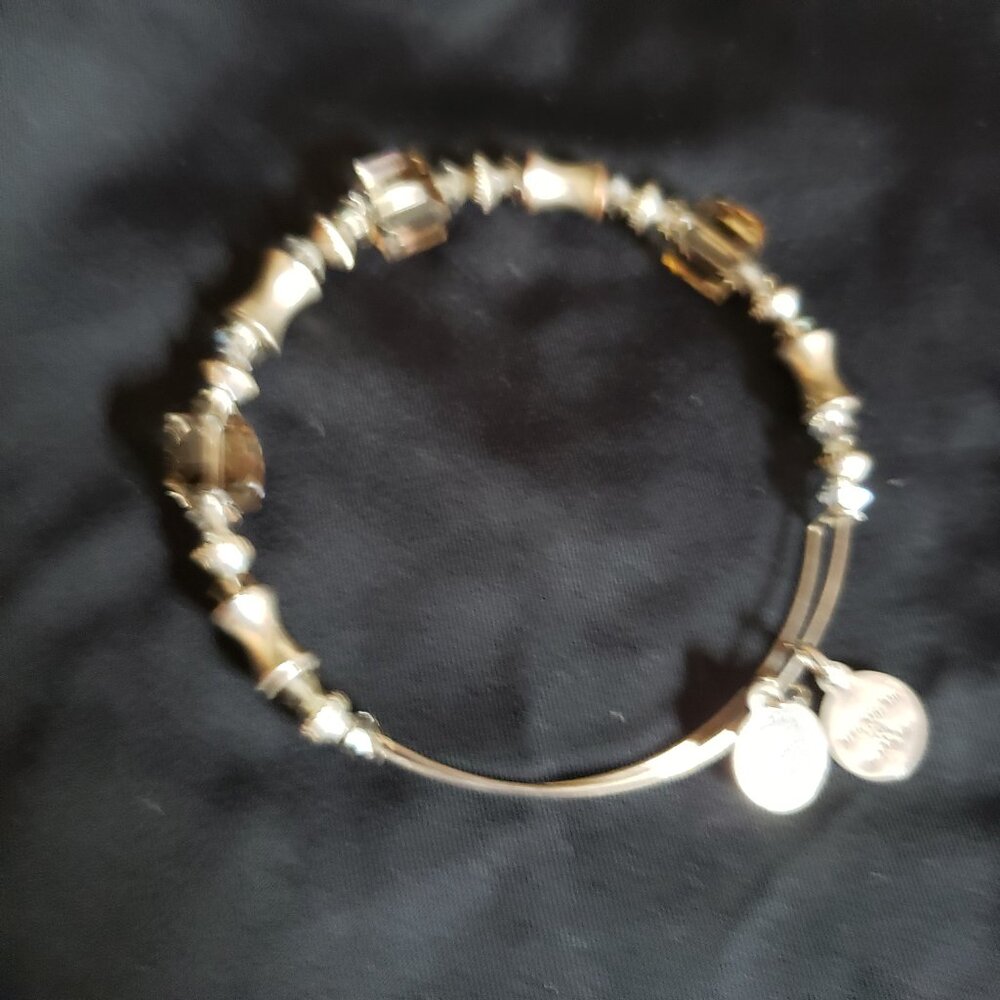 Alex and Ani Beaded Charm Bangle Express Your self LOVE A 357 - Picture 2 of 4